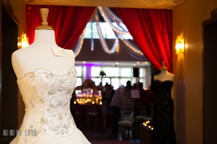 Wedding gown and bridesmaids dress. Historic Inns of Annapolis wedding bridal fair photos at Calvert House by photographers of Leo Dj Photography. http://leodjphoto.com