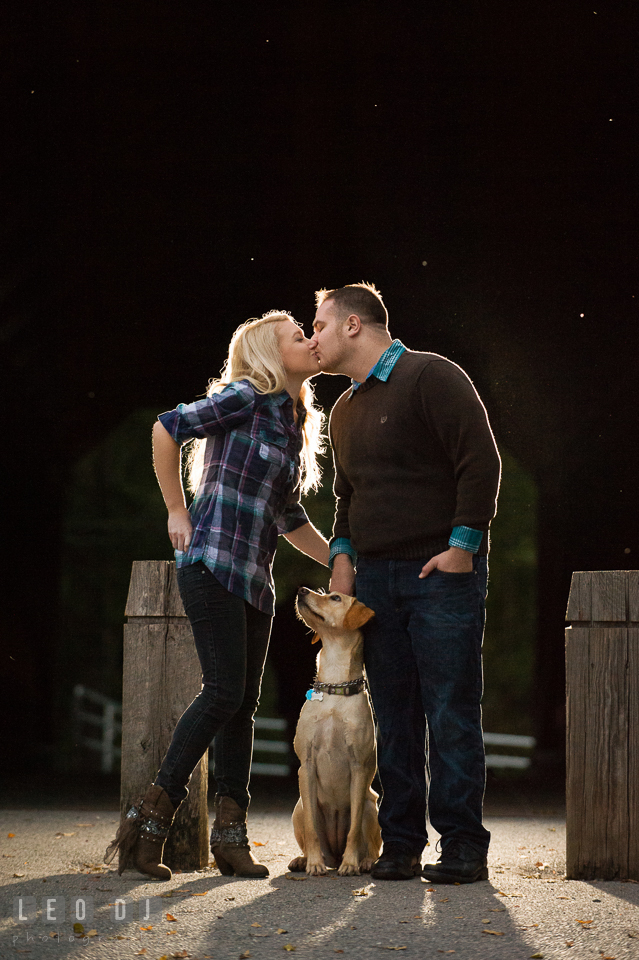 Engaged girl and her fiance kissing by the Sachs Covered Bridge with their labrador dog looking at them. Gettysburg PA pre-wedding engagement photo session, by wedding photographers of Leo Dj Photography. http://leodjphoto.com