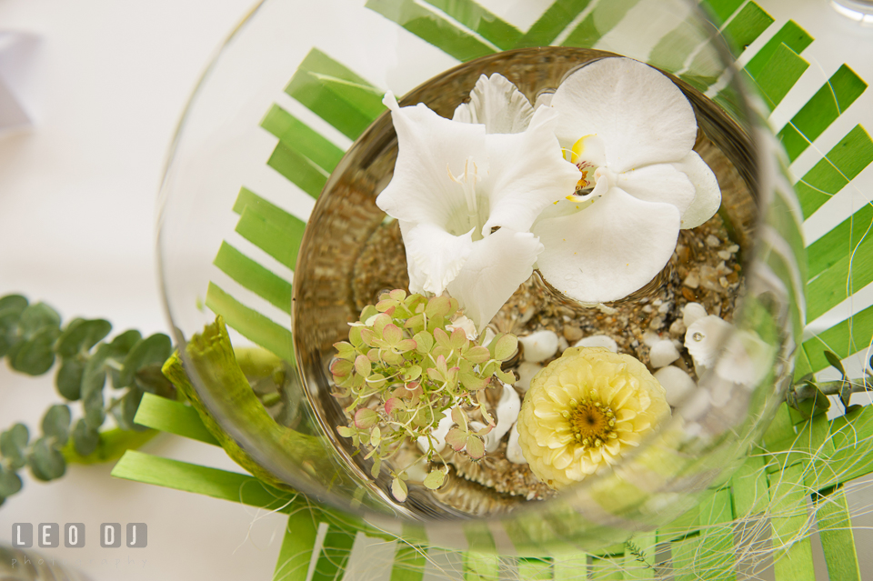 Beautiful petals inside a glass vase. Landgrafen Restaurant, Jena, Germany, wedding reception and ceremony photo, by wedding photographers of Leo Dj Photography. http://leodjphoto.com