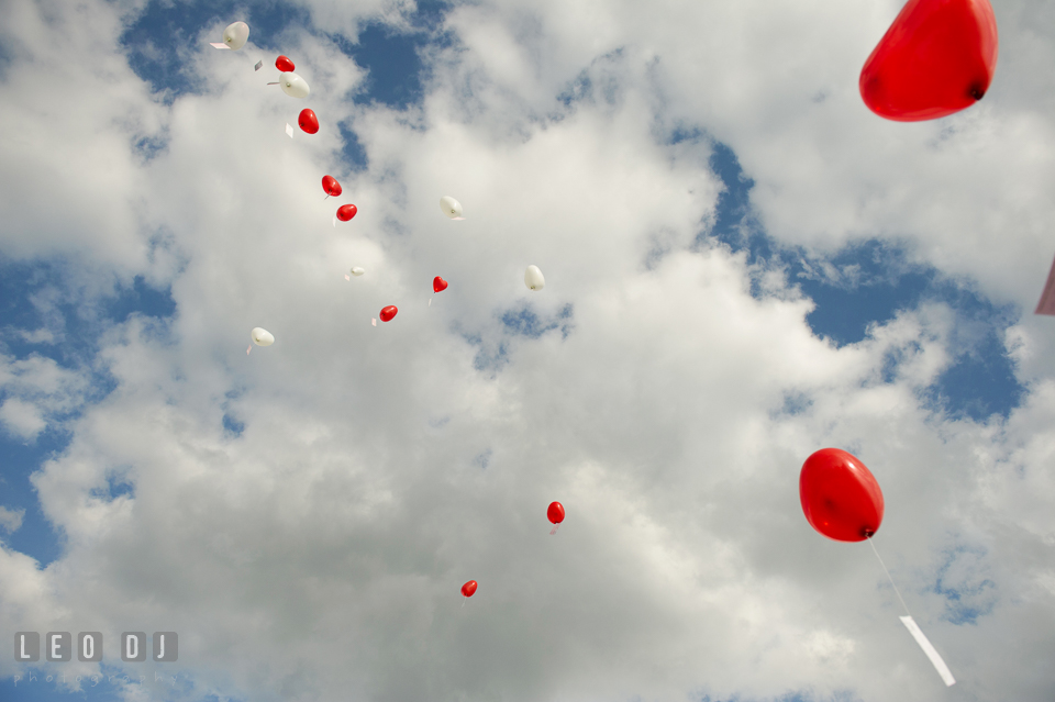 Heart-shaped balloons flown towards the sky. Landgrafen Restaurant, Jena, Germany, wedding reception and ceremony photo, by wedding photographers of Leo Dj Photography. http://leodjphoto.com