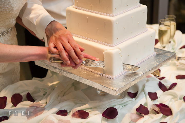 Bride and Groom cutting wedding cake. Falls Church Virginia 2941 Restaurant wedding reception photo, by wedding photographers of Leo Dj Photography. http://leodjphoto.com