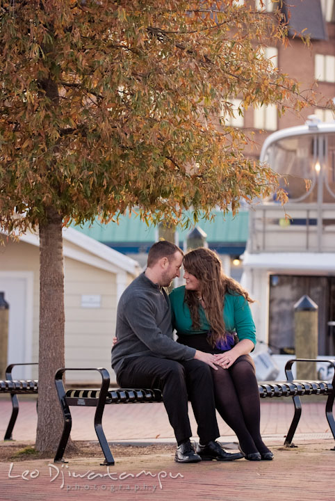 Engaged guy and girl sitting and cuddling underneath a tree. Pre-wedding or engagement photo session at Annapolis city harbor, Maryland, Eastern Shore, by wedding photographers of Leo Dj Photography.