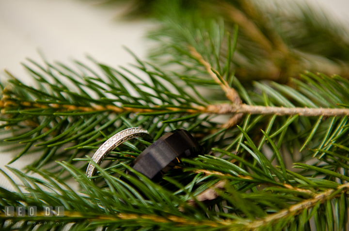 Bride's wedding ring and Groom's wedding band. The Ballroom at The Chesapeake Inn wedding ceremony photos, Chesapeake City, Maryland by photographers of Leo Dj Photography.