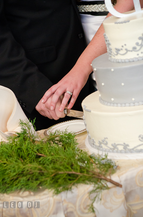 Close up shot of Bride and Groom cutting the cake. The Ballroom at The Chesapeake Inn wedding reception photos, Chesapeake City, Maryland by photographers of Leo Dj Photography.