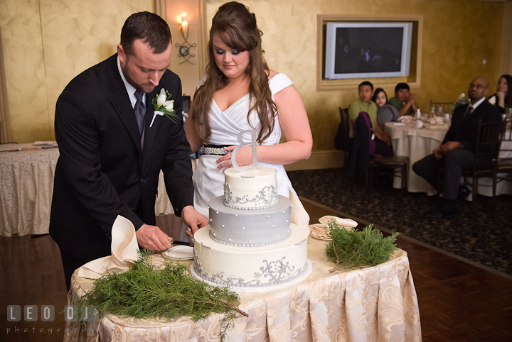 Bride and Groom cutting the cake. The Ballroom at The Chesapeake Inn wedding reception photos, Chesapeake City, Maryland by photographers of Leo Dj Photography.
