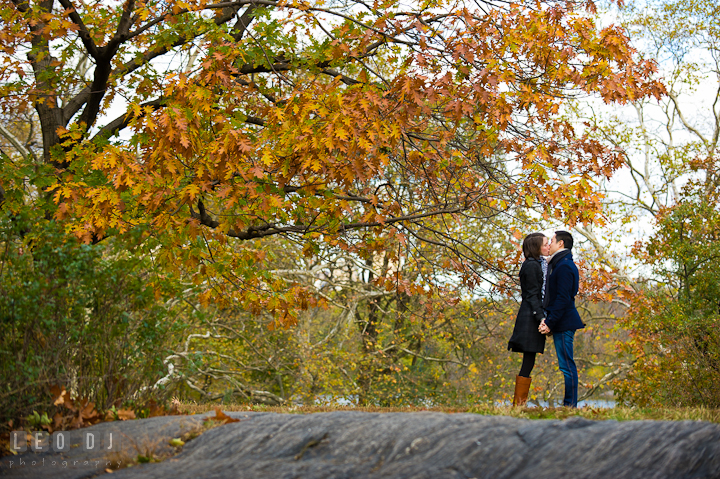 Engaged couple kissing by a tree with yellow fall foliage at Central Park . Pre-wedding engagement photo session at New York City, NY, by wedding photographers of Leo Dj Photography. http://leodjphoto.com