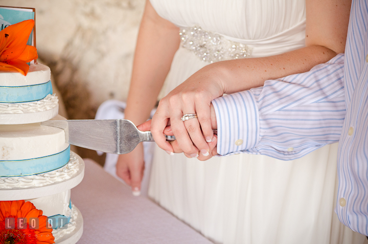 Close up shot of Bride Groom cutting the cake. Carnival Cruise ship destination wedding reception photos of Jessica and Chad, Cozumel Mexico by photographers of Leo Dj Photography.