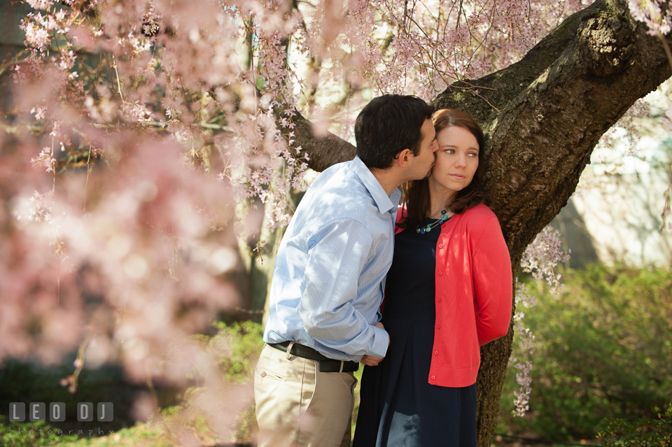 Engaged guy kissing his fiancée under a weeping cherry blossoms tree. Washington DC pre-wedding engagement photo session at Adams Morgan and the Smithsonians, by wedding photographers of Leo Dj Photography. http://leodjphoto.com