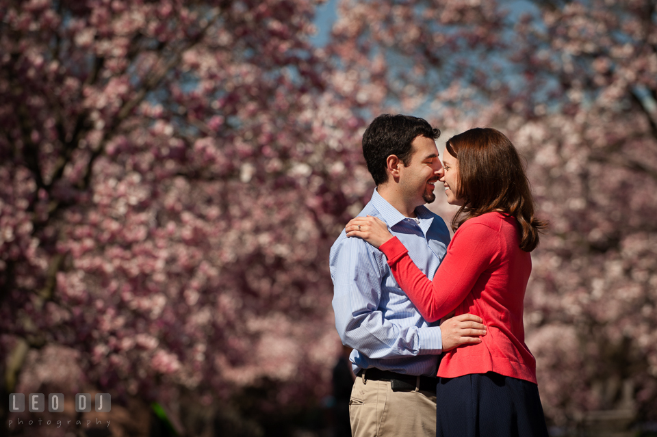 Engaged couple getting close and intimate and laughing together in between magnolia trees. Washington DC pre-wedding engagement photo session at Adams Morgan and the Smithsonians, by wedding photographers of Leo Dj Photography. http://leodjphoto.com