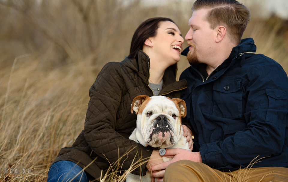 Jonas Green Park Annapolis Maryland engaged girl laughing with fiance while holding buldog photo by Leo Dj Photography.