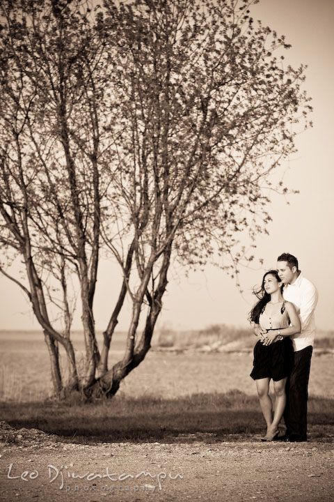 engaged couple in a romantic pose, by a tree. Romantic engagement session on beach Kent Island Maryland