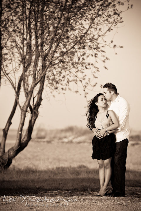 engaged couple, guy kissed girl on the forehead, by a tree, sepia color. Romantic engagement session on beach Kent Island Maryland