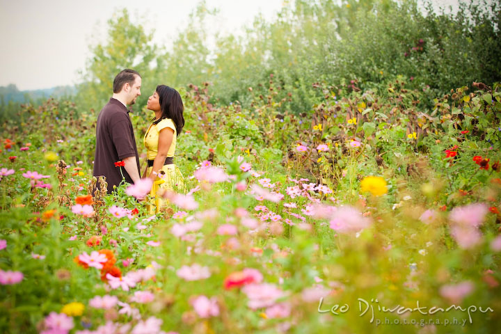 Engaged girl holding fiancee's hand in flower field. Engagement pre-wedding photo session fruit tree farm barn flower garden by Leo Dj Photography