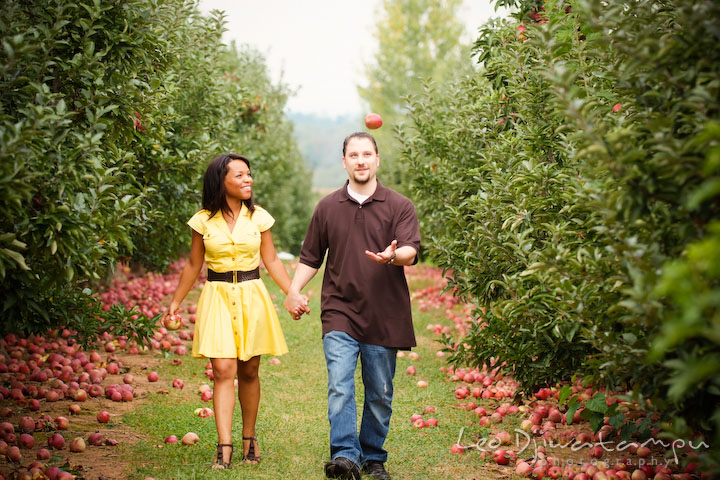 Engaged guy holding his fiancee's hand and throwing apple up in the air. Engagement pre-wedding photo session fruit tree farm barn flower garden by Leo Dj Photography