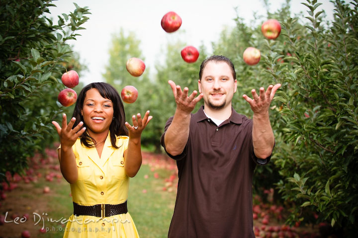 Engaged guy and girl throwing apples in the air. Engagement pre-wedding photo session fruit tree farm barn flower garden by Leo Dj Photography