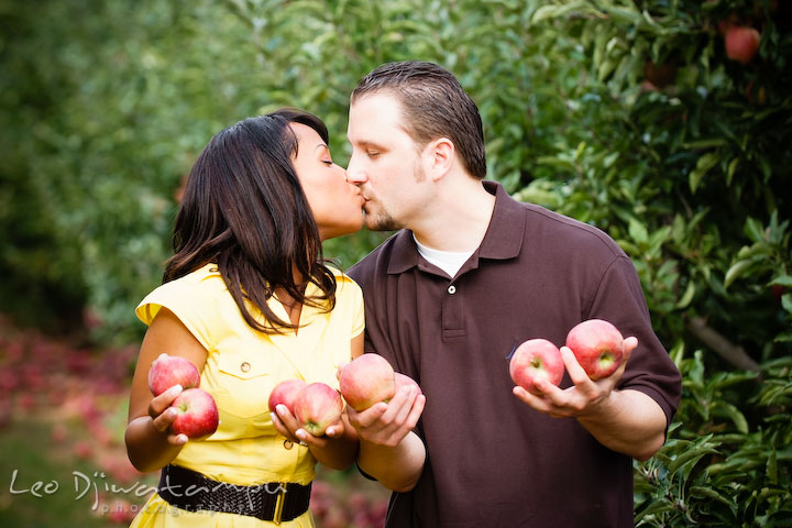 Engaged guy kissing fiancee while holding apples. Engagement pre-wedding photo session fruit tree farm barn flower garden by Leo Dj Photography