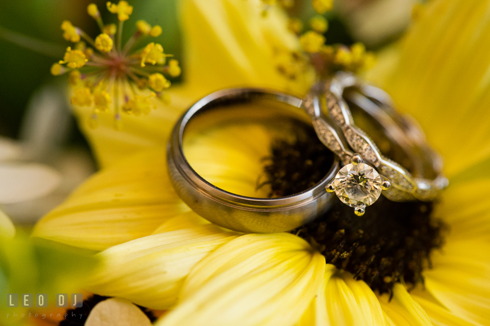 Diamond engagement ring and Bride and Groom's wedding bands. Kent Island Maryland Chesapeake Bay Beach Club wedding photo, by wedding photographers of Leo Dj Photography. http://leodjphoto.com