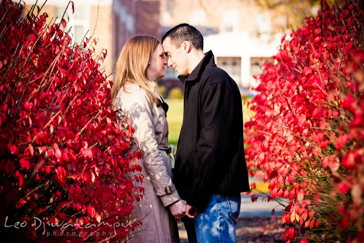 Engaged couple touching foreheads in between red bushes. Chestertown Maryland and Washington College Pre-Wedding Engagement Session Photographer, Leo Dj Photography