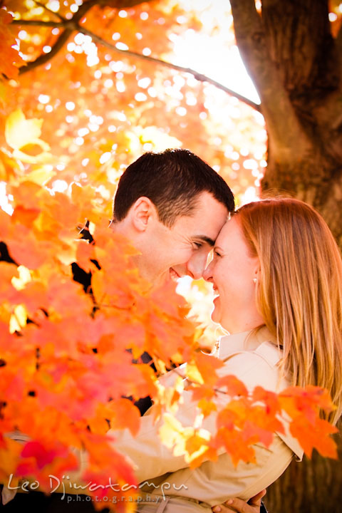 Engaged girl touching foreheads with her fiancé under an orange foliage tree. Chestertown Maryland and Washington College Pre-Wedding Engagement Session Photographer, Leo Dj Photography