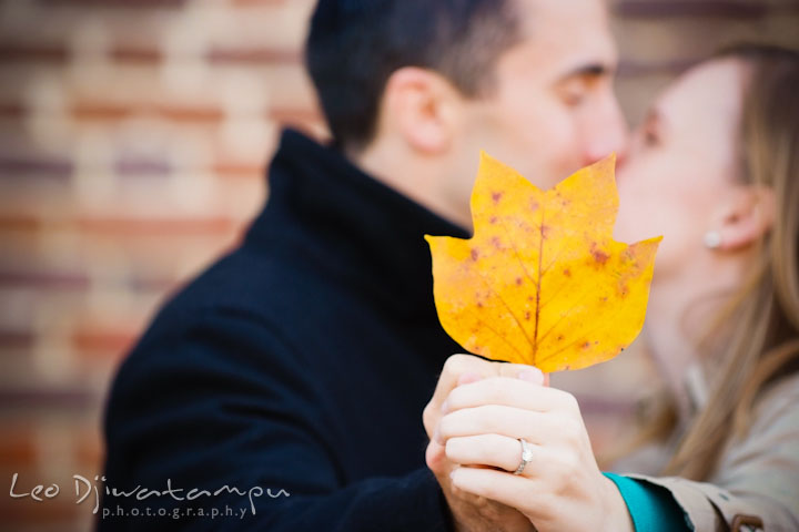 Engaged guy and girl kissing, covered by a yellow leaf and showing fiancée's engagement ring. Chestertown Maryland and Washington College Pre-Wedding Engagement Session Photographer, Leo Dj Photography