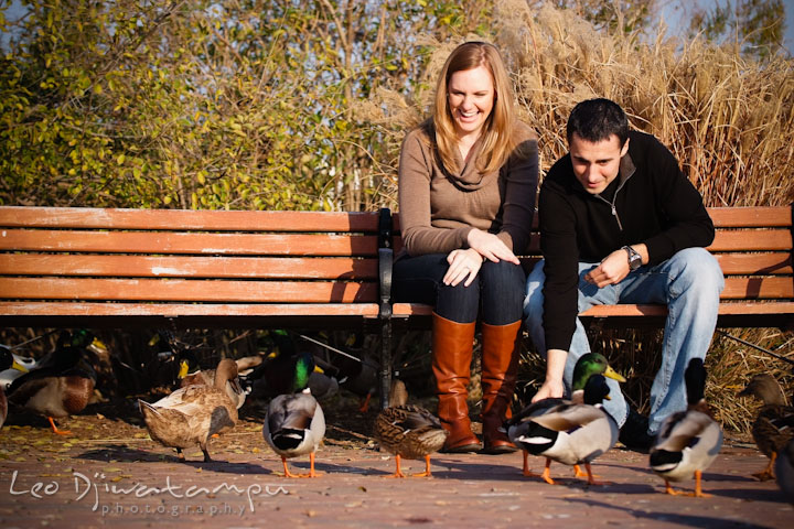 Engaged guy and girl feeding a flock of ducks. Chestertown Maryland and Washington College Pre-Wedding Engagement Session Photographer, Leo Dj Photography