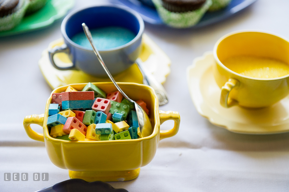 Colorful sugar cubes in LEGO shaped bricks. Fisherman's Inn, Safe Harbor Church, Kent Island, Eastern Shore Maryland, wedding reception and ceremony photo, by wedding photographers of Leo Dj Photography. http://leodjphoto.com