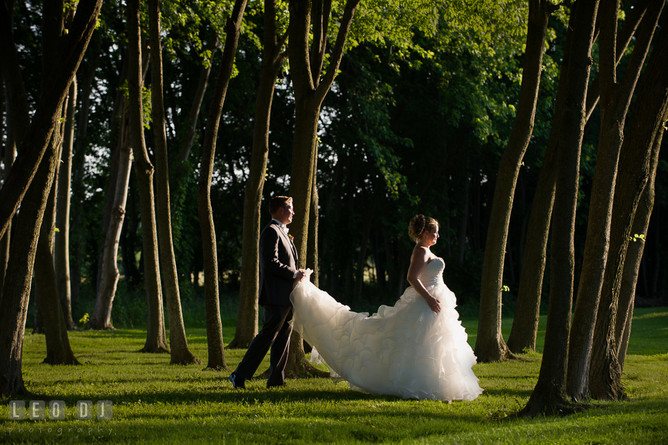 Groom walking between the trees holding Bride's wedding dress train. Kent Manor Inn, Kent Island, Eastern Shore Maryland, wedding reception and ceremony photo, by wedding photographers of Leo Dj Photography. http://leodjphoto.com