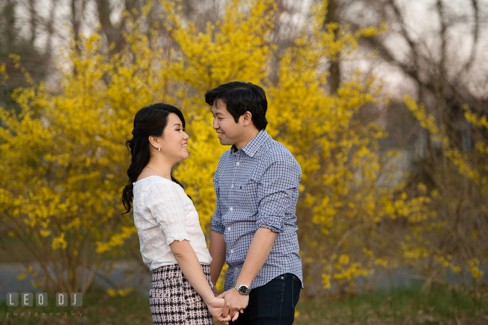 Engaged couple by a forsythia tree holding hands and smiling together. Quiet Waters Park Annapolis Maryland pre-wedding engagement photo session, by wedding photographers of Leo Dj Photography. http://leodjphoto.com