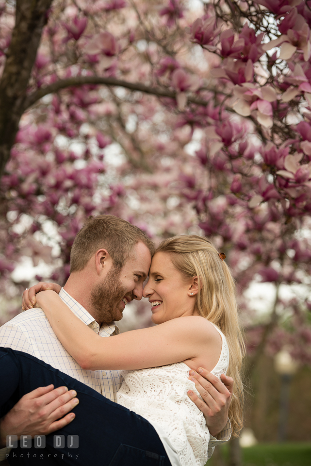Engaged man lift up and carry his fiancée under the beautiful flowering magnolia tree. Quiet Waters Park Annapolis Maryland pre-wedding engagement photo session, by wedding photographers of Leo Dj Photography. http://leodjphoto.com