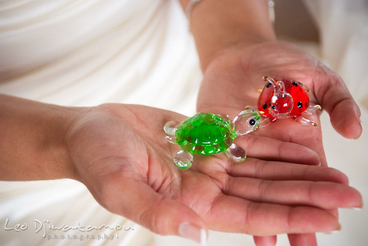 Groom's gift, turtles, to bride. The Grand Marquis, Old Bridge, New Jersey wedding photos by wedding photographers of Leo Dj Photography. 
