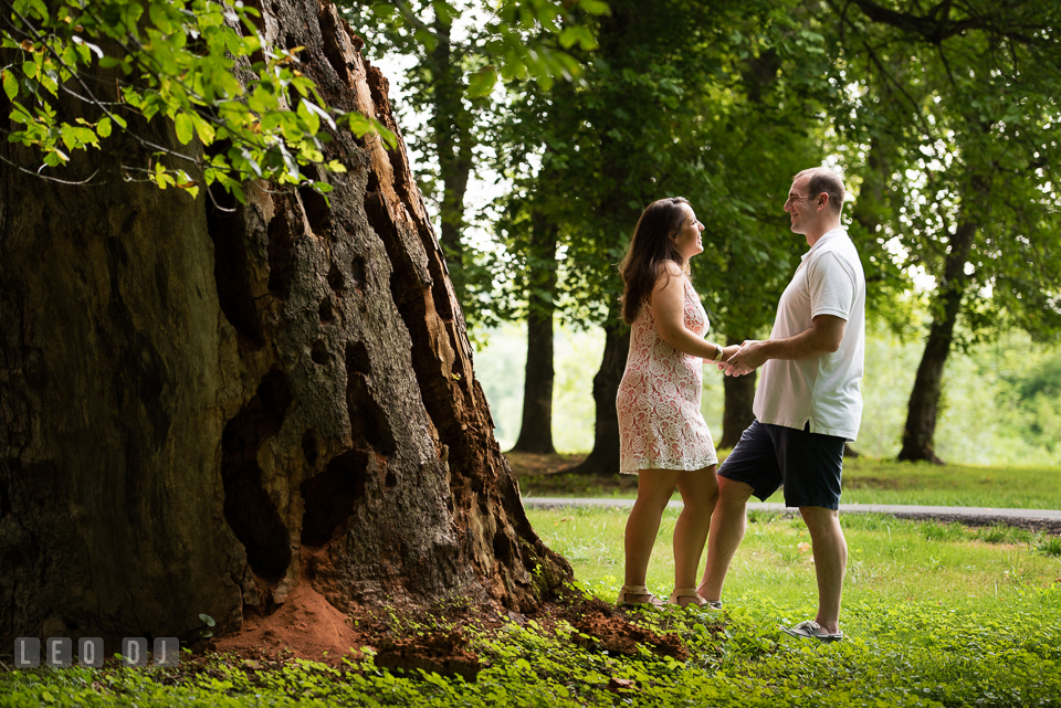 Engaged couple holding hands by a large tree bark. Leesburg Virginia pre-wedding engagement photo session at River Creek Club, by wedding photographers of Leo Dj Photography. http://leodjphoto.com