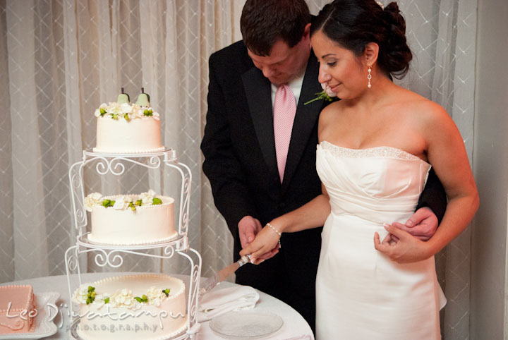 Bride and groom cutting the cake. Overhills Mansion Catonsville Baltimore MD wedding photos by photographers of Leo Dj Photography