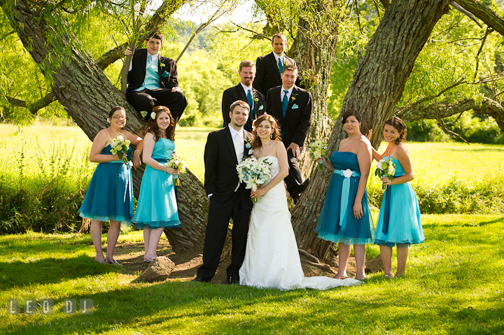 Bride, Groom, Best Man, Maid of Honor, Bridesmaids and Groomsmen posing by a large tree. Ostertag Vistas wedding ceremony photos at Myersville, Maryland by photographers of Leo Dj Photography. http://leodjphoto.com