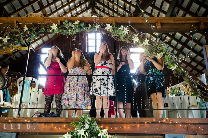 Guests blowing bubbles from upper level floor. Ostertag Vistas wedding reception photos at Myersville, Maryland by photographers of Leo Dj Photography. http://leodjphoto.com