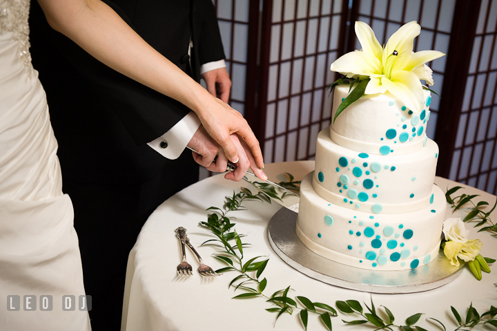 Close up shot of Bride and Groom cutting the cake. Ostertag Vistas wedding reception photos at Myersville, Maryland by photographers of Leo Dj Photography. http://leodjphoto.com