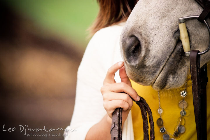 Girl touching her horse's nose. Annapolis Kent Island Maryland High School Senior Portrait Photography with Horse Pet by photographer Leo Dj