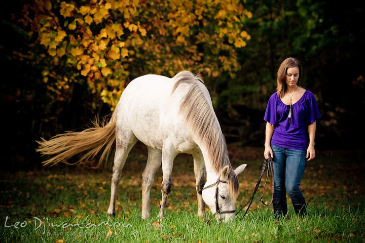 Girl owner bringing mare to eat grass. Annapolis Kent Island Maryland High School Senior Portrait Photography with Horse Pet by photographer Leo Dj