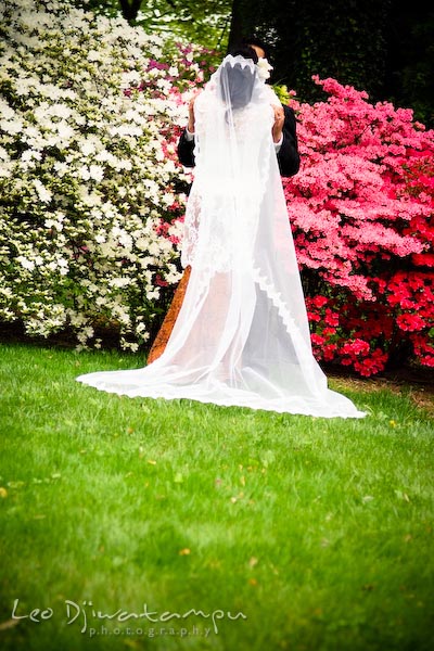 bridge and groom kissing, flower background