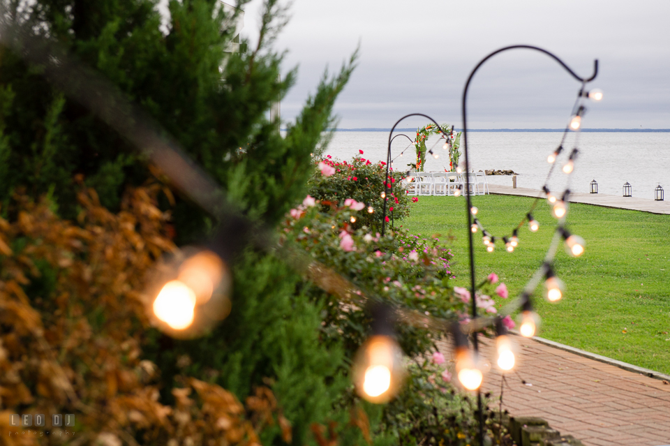 Silver Swan Bayside light string on the lawn photo by Leo Dj Photography