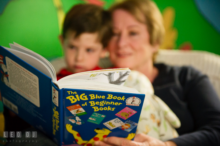 Toddler boy and his Grandmother reading Dr. Seuss book, The Big Blue Book of Beginner Books. Queenstown, Eastern Shore Maryland candid children and family lifestyle portrait photo session by photographers of Leo Dj Photography. http://leodjphoto.com