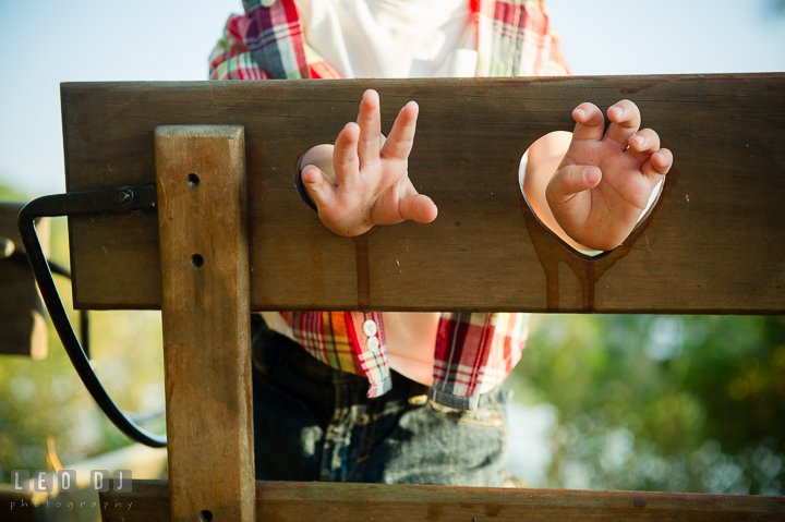 Little boy sticking out his hands through a chair's backrest. Queenstown, Eastern Shore Maryland candid children and family lifestyle portrait photo session by photographers of Leo Dj Photography. http://leodjphoto.com