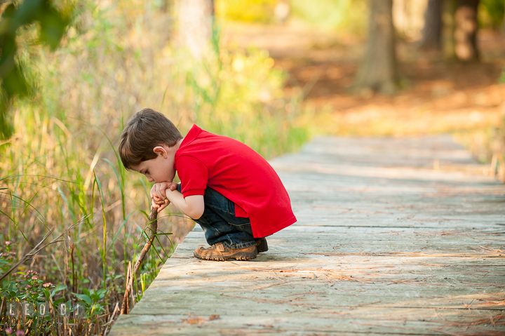 Toddler boy squating on wooden bridge and poking a stick in the mud. Queenstown, Eastern Shore Maryland candid children and family lifestyle portrait photo session by photographers of Leo Dj Photography. http://leodjphoto.com