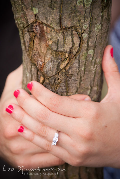 Engagement ring by a heart carved on a tree bark. Pre-wedding engagement photo session at Brookside Gardens, Wheaton, Silver Spring, Maryland, by wedding photographer Leo Dj Photography.