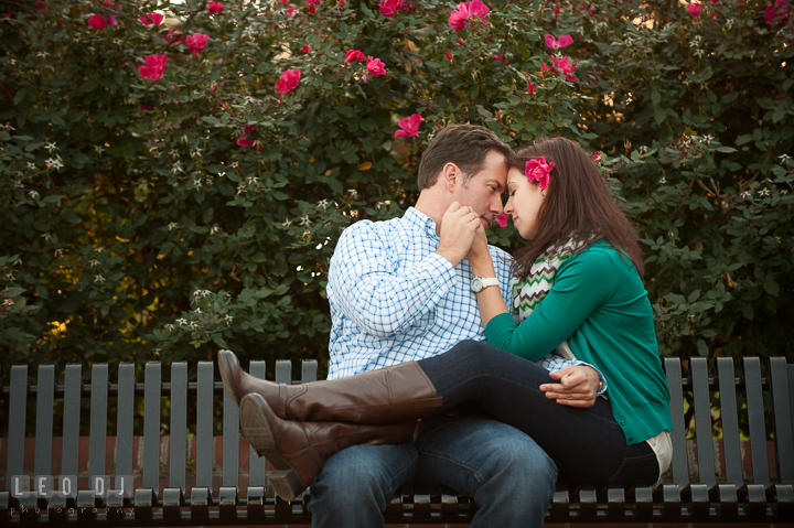 Engaged girl cuddling with her fiancé on a bench in front of red rose bush. Annapolis Eastern Shore Maryland pre-wedding engagement photo session at downtown, by wedding photographers of Leo Dj Photography. http://leodjphoto.com