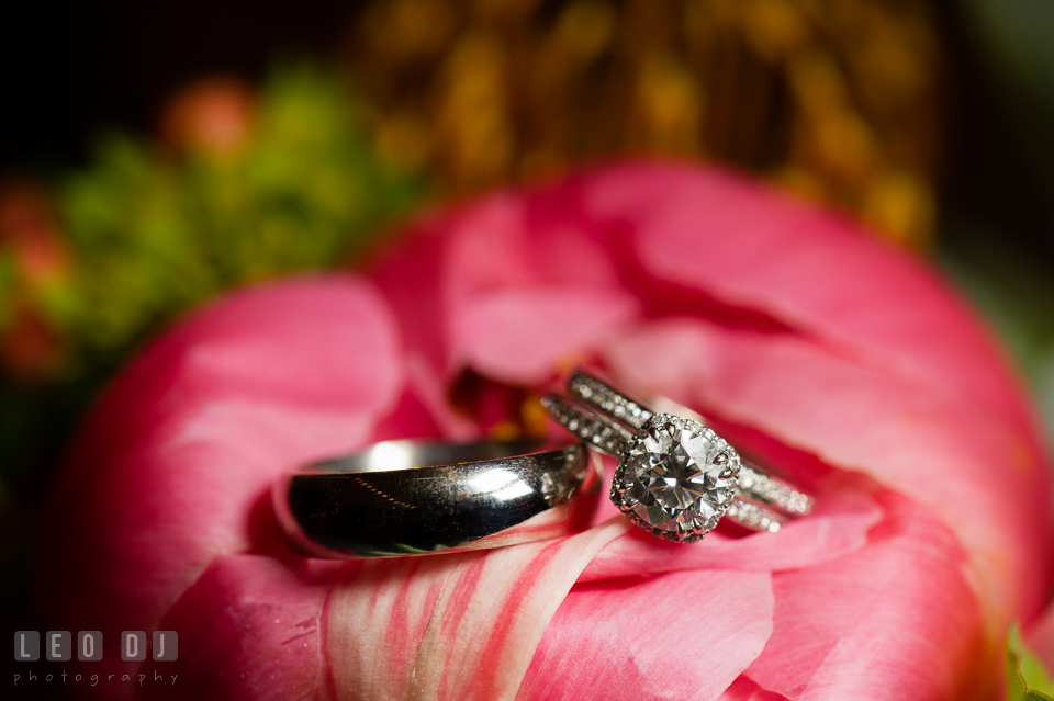 Beautiful diamond engagement ring and bands. Chesapeake Bay Environmental Center, Eastern Shore Maryland, wedding reception and ceremony photo, by wedding photographers of Leo Dj Photography. http://leodjphoto.com