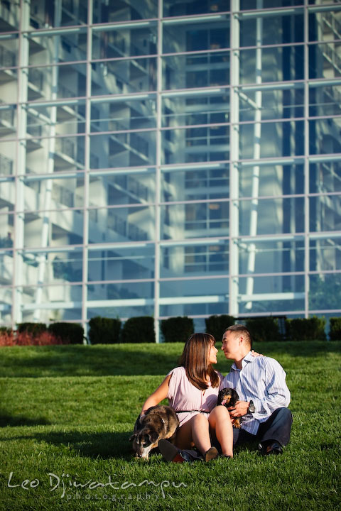 Engaged couple and their dogs in a lawn with a large building behind them. National Harbor, Gaylord National Hotel pre-wedding engagement photo session