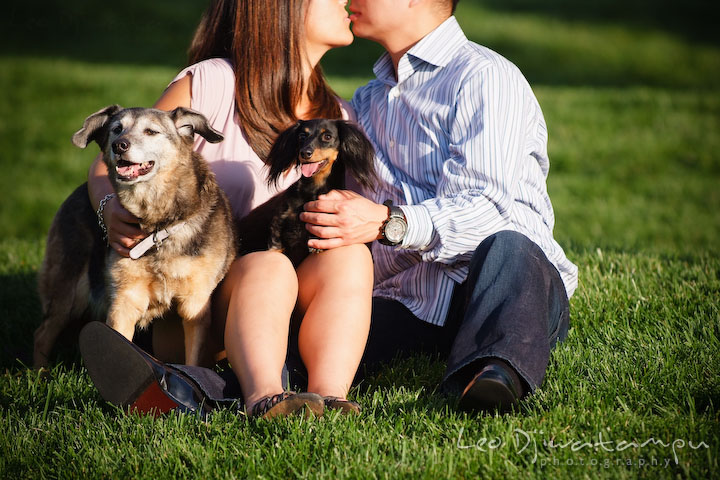 Two dogs with their owner, engaged couple, in the back, kissing. National Harbor, Gaylord National Hotel pre-wedding engagement photo session