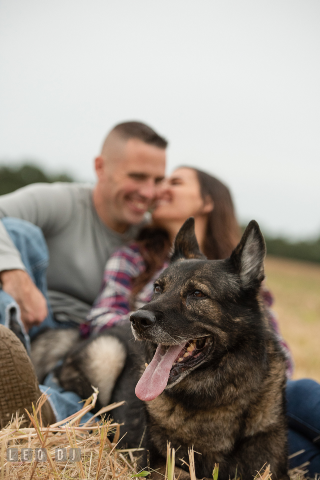 Wye Island Queenstown Maryland engaged girl snuggling behind their dog photo by Leo Dj Photography.